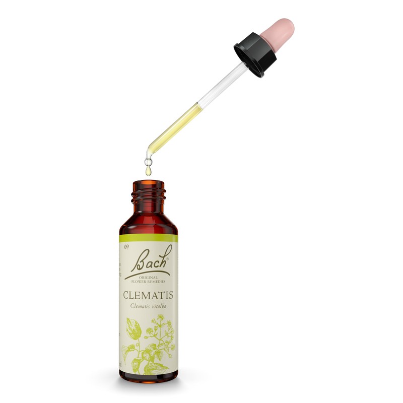Bach Original Flower Remedies (Clematis) Live The Day, Be Focused,
