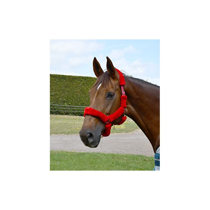Rhinegold Fur Trim Headcollar - Extra Full - Red