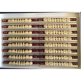 Dentsply New Hue Dentist-Dental Lab-Denture Teeth Porcelain  29M UL   73/B4