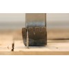 T-Rex Ripper Staple & Nail Extractor, Tempered Spring Steel, Multi