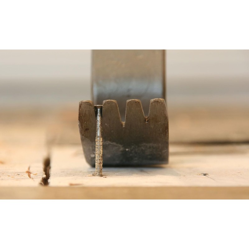 T-Rex Ripper Staple & Nail Extractor, Tempered Spring Steel, Multi