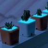 HhBdy Luminous Stones 3-5 mm Garden Aquarium Children's Room Balcony