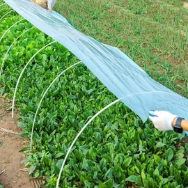 Small Greenhouse Vinyl Film (2m x 5m) - Agricultural Material 5m 2ea