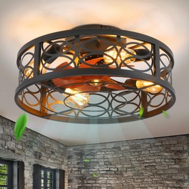 HUEOCZW 20" Caged Ceiling Fan with Light and Remote，Bladeless Ceiling Fan 6 Speed Reversible with 4 Bulbs and Remote Control.Low Profile Ceiling Fans with Lights for Bedroom, Dining Room