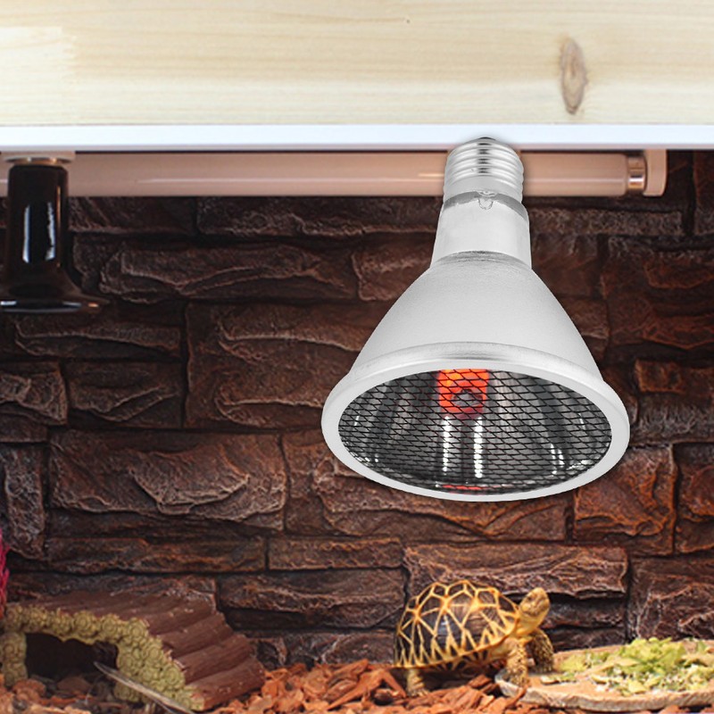 E27 Far Infrared Heating Lamp Heat Lamp Bulb Heating Night