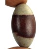 KLEO Espranade Narmada Stone Narmadeshwar, Shiva Lingha | Shiva Lingham