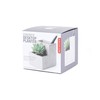 Kikkerland Concrete Planter and Desktop Stationery Organiser (Small)