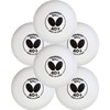 Butterfly 95840 Table Tennis Balls, Training Balls, 40+ White, 10