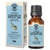 Natural Planet Eucalyptus Essential Oil 15ML Natural 100% Pure &