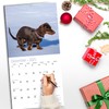 RED EMBER Select - Poo Poo Dogs 2025 Wall Calendar