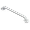 Moen 8736 Home Care Safety 36-Inch Stainless Steel Bathroom Grab