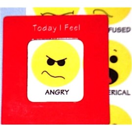 BIC New FEELINGS Chart MOOD MAGNET: How I Feel Emotions Emoticons Emoji Smiley Faces