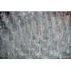 Abena Gastro Plastic Champagne Flutes | Pack of 12 |