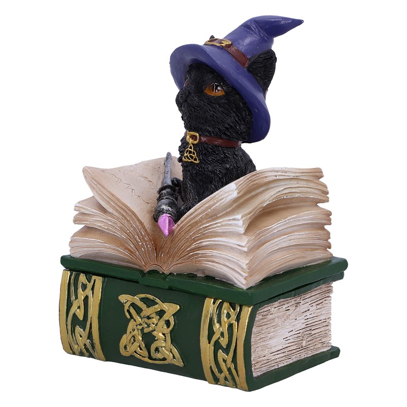 Nemesis Now Binx Small Witches Familiar Black Cat and Spellbook