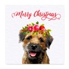 Border Terrier Christmas Card - Holly Crown - Single Luxury