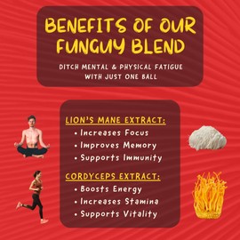 ODD BALLS Organic Energy Balls Cherry - Superfood Mushroom Snack - Running, Cycling, Hiking - Gels, Bars Alternative - Lion's Mane Focus, Cordyceps Energy - Vegan, Gluten Free Snacks for Kids & Adults (8.5 oz, Cherry)