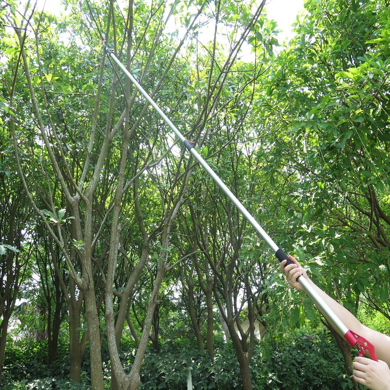 Mesoga 5.6-13 Foot Extendable Tree Pruner, Cut and Hold Pruning