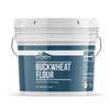 Earthborn Elements Buckwheat Flour 1 Gallon Bucket, Gluten-Free, Baking