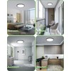 zemty Black LED Flush Mount Ceiling Light - 12 Inch