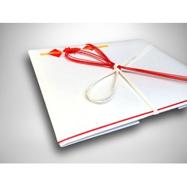 Akagi Celebration Bag, Catalog, Red and White, 5 Pieces, Flower Knot Ki 85