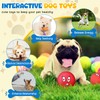 Hungdao 40 Pcs Squeaky Dog Toys for Small Dogs Latex