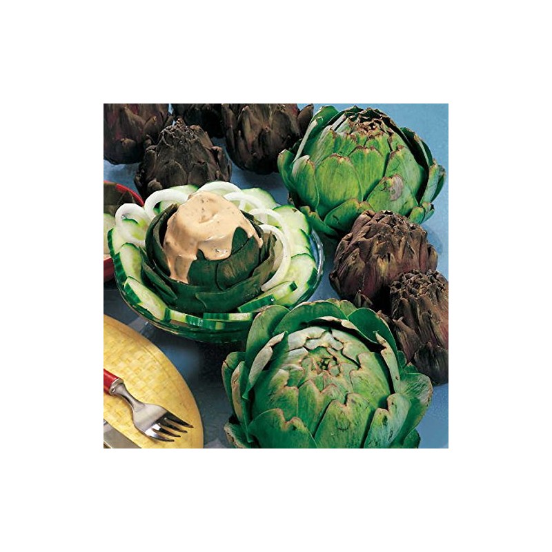 Park Seed Imperial Star Artichoke Seeds