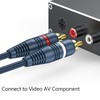 DteeDck RCA Splitter 1 Female to 2 Male, 2 Pack