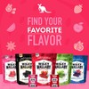 Wiley Wallaby Mini Licorice Bites 0.5 Ounce Classic Gourmet Soft