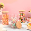 Suclain 3 Pack Pink Bow Glass Storage Containers with Airtight