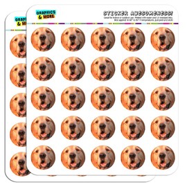 Golden Retriever Dog 2.5cm (1 inch) Scrapbooking Crafting Stickers