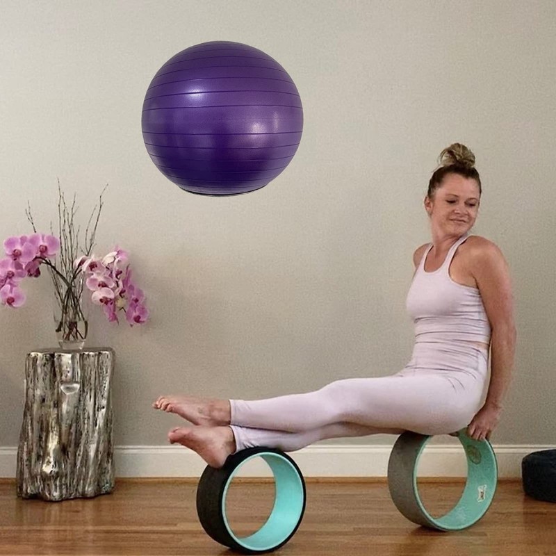 Wall Mounted Stainless Steel Exercise Ball Holder, Sturdy Yoga Ball