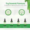 CRAVESTEVIA Organic 4-Pack Stevia Drops – Vanilla, Irish Cream, Cappuccino