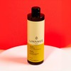 LINANGE Repair Shampoo with Shea Butter, Coconut Oil (16.05 oz.)