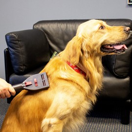 Penn-Plax VacGroom Pet Grooming and Shedding Vacuum Attachment Kit – Great for Dogs, Cats, and Your Furniture! Works With Almost All Vacuum Brands