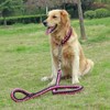 Love Dream Dog Collar and Leash Set, Heavy Duty Nylon