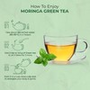 Dynemo MORINGA GREEN TEA , Pure Organically Grown Original Green