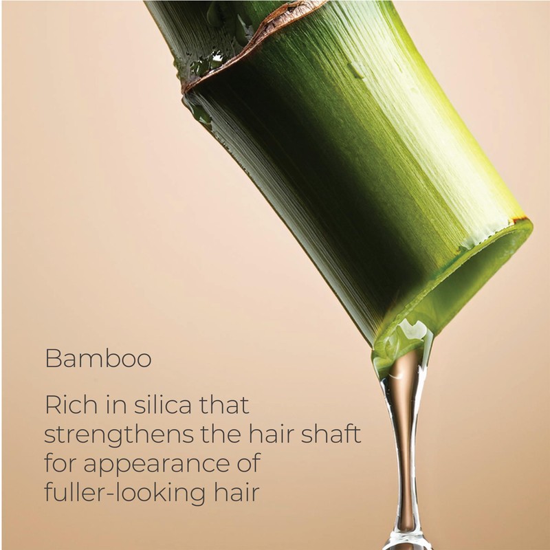 L'ANZA Healing Volume Thickening Treatment Hair Spray, Boosts Shine, Volume,