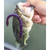 Tbuymax Wacky Worms O-Rings for Senko & Stick Soft Baits
