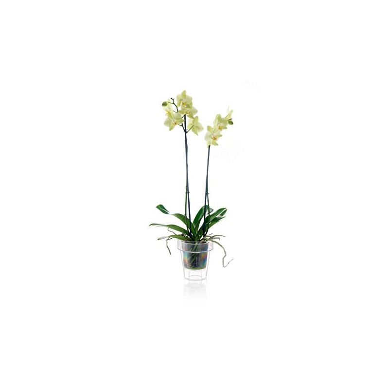 Teraplast TRANSPARENT VASE PORTO WITH SUPPORT FOR ORCHIDS DIAMETER CM