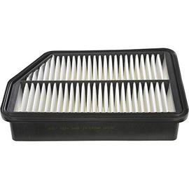Autopart International 5000-291791 AIR Filter