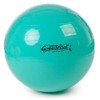 Original Pezzi® Gymnastics Ball Standard Combination Offer Circuit Training