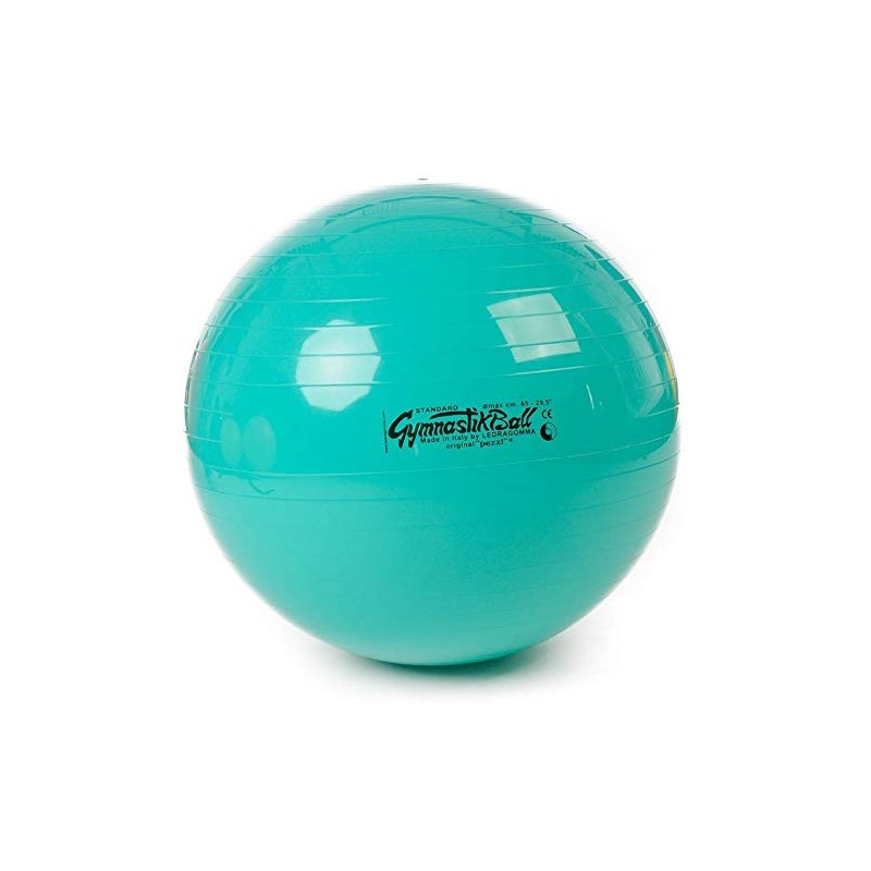Original Pezzi® Gymnastics Ball Standard Combination Offer Circuit Training