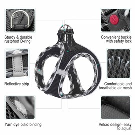 haapaw Dog Harness and Lead Set, No Pull Adjustable Reflective Step-in Puppy Harness with Thickened Padded Vest for Extra-Small/Small Medium Dogs