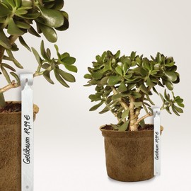 AVERY Zweckform T9102 Weatherproof Loop Tags Pack of 1,000 (220 x 12.7 mm, Loop Labels, Tear-Resistant Key Chains, Robust Plant Labels), Foil, White