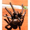 Ebros Gift Cast Iron Bronze Finished Arachnid Spider Metal Wall