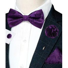 RBOCOTT Purple Paisley Bow Tie and Pocket Sqaure Set with Lapel Pin and Cufflinks for Men(21)