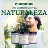 COMMONS Hongos Adaptógenos Kit Calma Reishi y Tulsi Extracto Puro