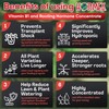 Hormex Rooting Hormone Concentrate with B1 – Root Growth Stimulator