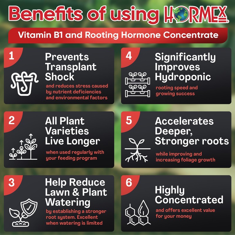 Hormex Rooting Hormone Concentrate with B1 – Root Growth Stimulator
