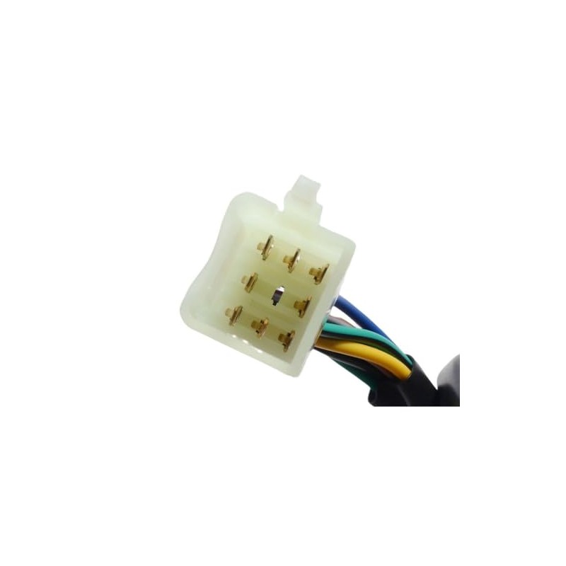 2EXTREME Switch Unit Left, Indicator Compatible with RIEJU RR 50